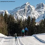 Bischofsmuetze 4*