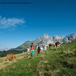 Hotel Bischofsmuetze Filzmoos