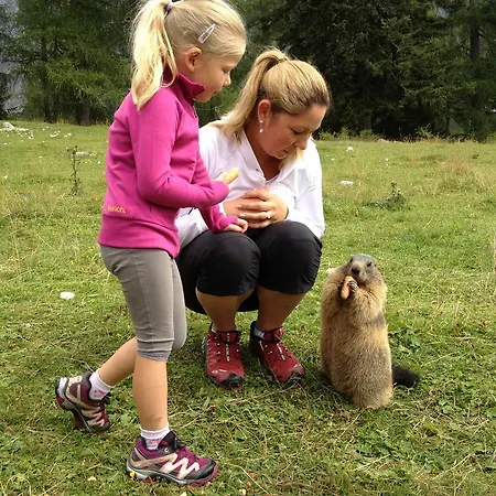 Bischofsmuetze Filzmoos