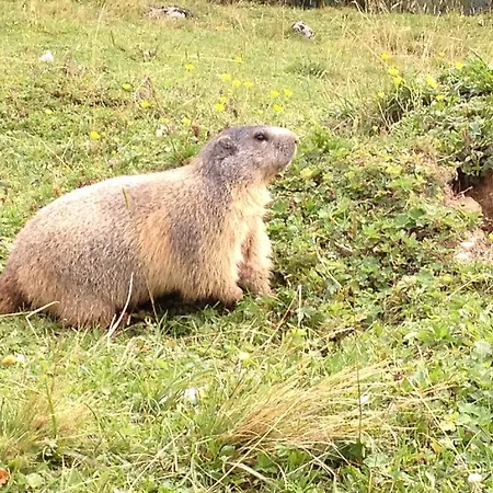 Bischofsmuetze 호텔