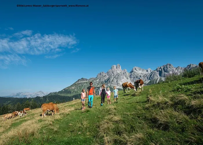 Отель Bischofsmuetze Фильцмос